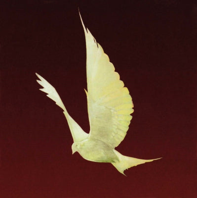 FLOOR - Dove