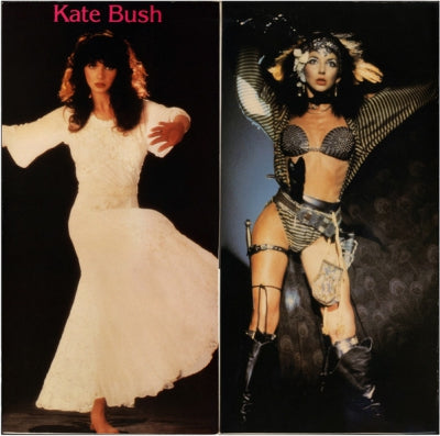 KATE BUSH - Live In Bristol England 1979