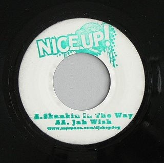 DJ SHEPDOG - Skankin In The Way / Jah Wish
