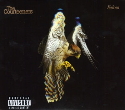 THE COURTEENERS - Falcon