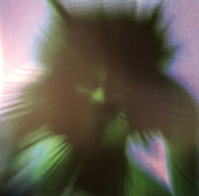 YVES TUMOR - Safe In The Hands Of Love