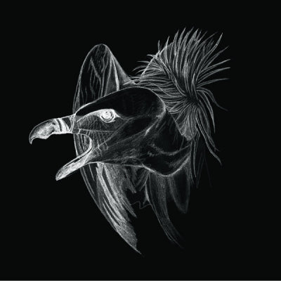 BURIED AT SEA - Migration