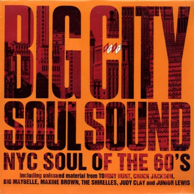 VARIOUS ARTISTS - Big City Soul Sounds