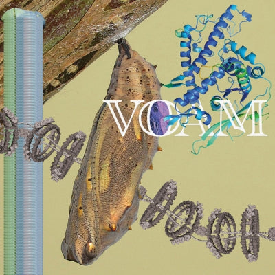 PARIAH - Caterpillar