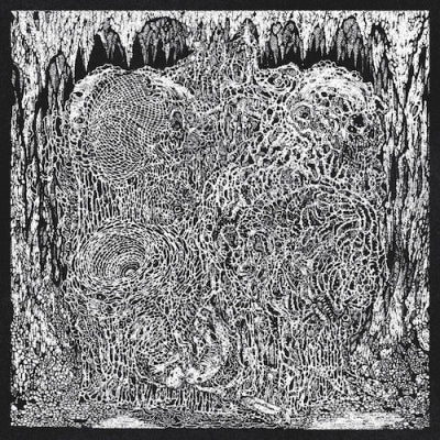 PERILAXE OCCLUSION / FUMES / CELESTIAL SANCTUARY / THORN - Absolute Convergence