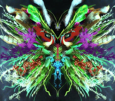 MERZBOW - Hermerzaphrodites