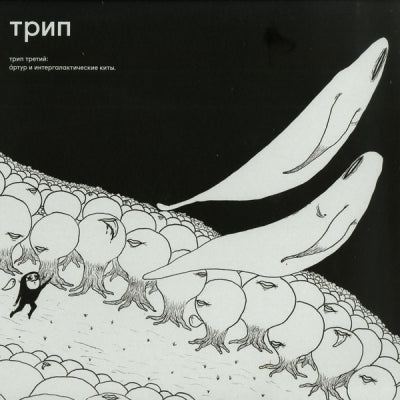 BJARKI - Arthur And Intergalactic Whales