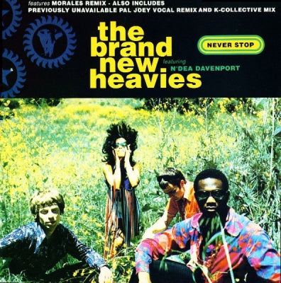 THE BRAND NEW HEAVIES FEATURING N'DEA DAVENPORT - Never Stop
