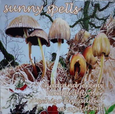 VARIOUS - Sunny Spells