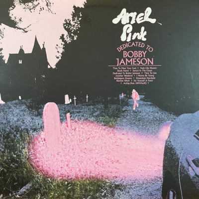 ARIEL PINK - Dedicated To Bobby Jameson