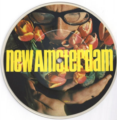 ELVIS COSTELLO - New Amsterdam