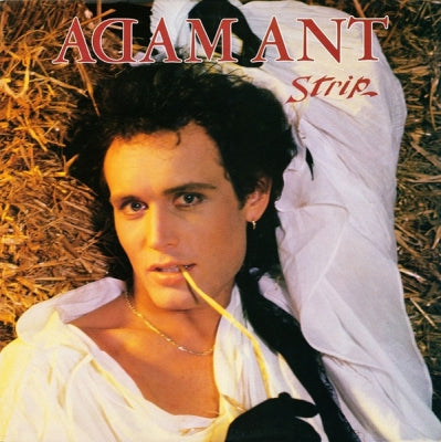 ADAM ANT  - Strip