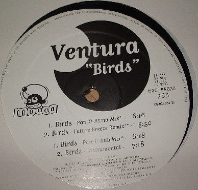VENTURA - Birds