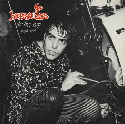 THE BARRACUDAS - The Big Gap (1978-1981)