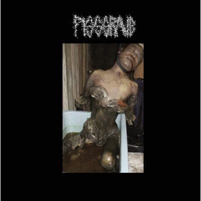 PISSGRAVE - Demo
