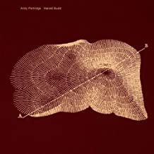 ANDY PARTRIDGE, HAROLD BUDD - Through The Hill