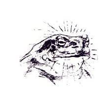 BARDO POND - Bufo Alvarius