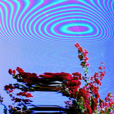 FRIENDLY FIRES - Inflorescent