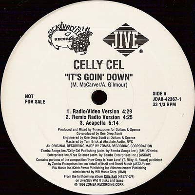 CELLY CEL - It's Goin' Down