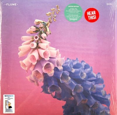 FLUME - Skin