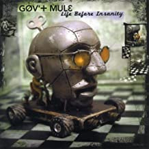 GOVERNMENT MULE - Life Before Insanity