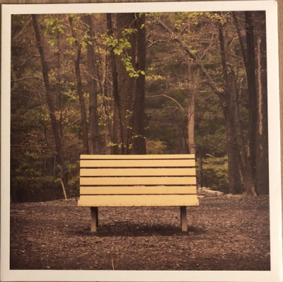 STREETLIGHT MANIFESTO - The Hands That Thieve