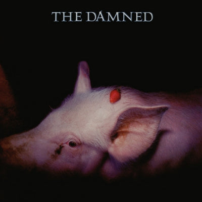 THE DAMNED - Strawberries