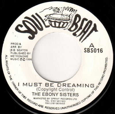 THE EBONY SISTERS / THE CONSCIOUS MINDS - I Must Be Dreaming / Something New