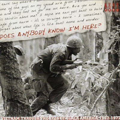 VARIOUS - Does Anybody Know I'm Here? (Vietnam Through The Eyes Of Black America 1962-1972)