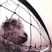 PEARL JAM - Vs.