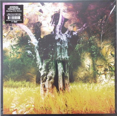 ANIMAL COLLECTIVE - Meeting Of The Waters