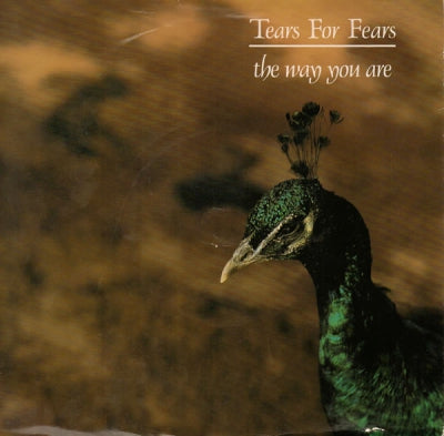 TEARS FOR FEARS - The Way You Are / The Marauders