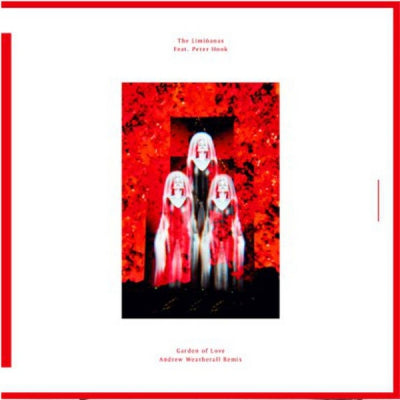 THE LIMIñANAS FEAT. PETER HOOK - Garden Of Love (Andrew Weatherall Remix)