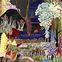 PSYCHEDELIC PORN CRUMPETS - And Now For The Whatchamacallit