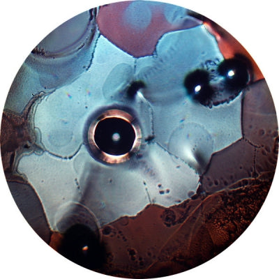 ATSUSHI YANO - Rottie Bites