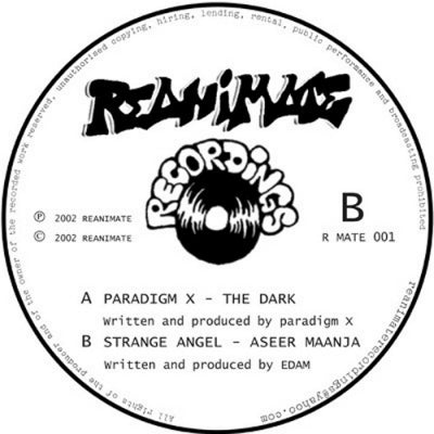 PARADIGM X / STRANGE ANGEL - The Dark / Aseer Maanja