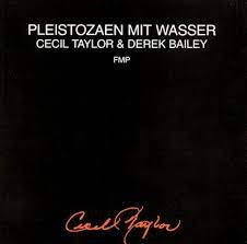 CECIL TAYLOR & DEREK BAILEY - Pleistozaen Mit Wasser