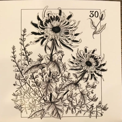 PRRSR - 30