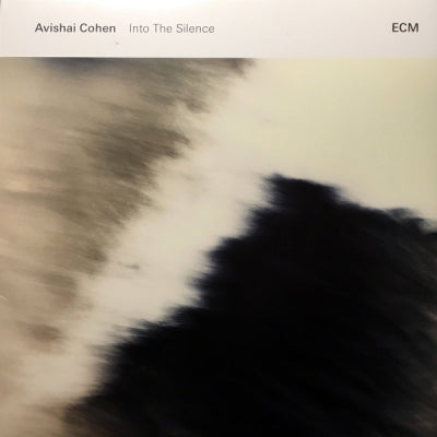 AVISHAI COHEN - Into The Silence
