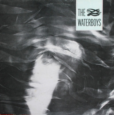THE WATERBOYS - The Waterboys