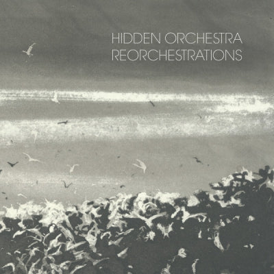 HIDDEN ORCHESTRA - Reorchestrations