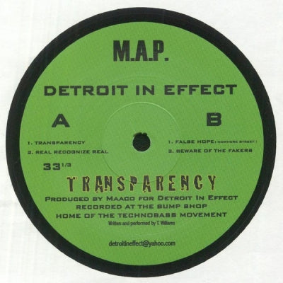 DETROIT IN EFFECT - Transparency