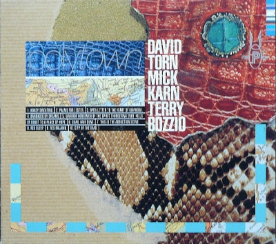 DAVID TORN, MICK KARN, TERRY BOZZIO - Polytown