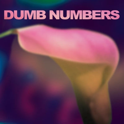 DUMB NUMBERS - Dumb Numbers