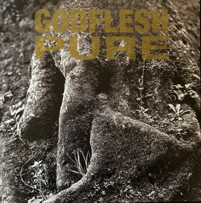 GODFLESH - Pure