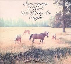 BILL CALLAHAN - Sometimes I Wish We Were An Eagle