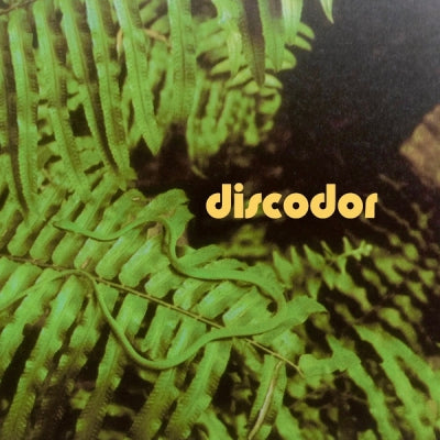 DISCODOR - Discodor