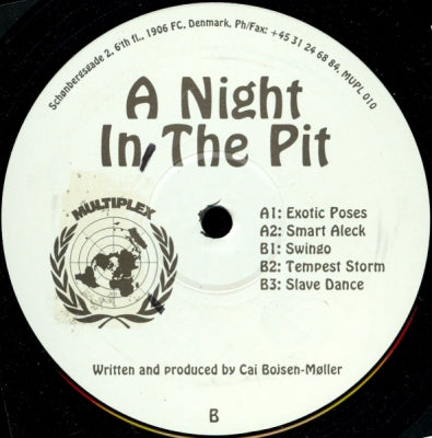 CAI BOJSEN-MøLLER - A Night In The Pit