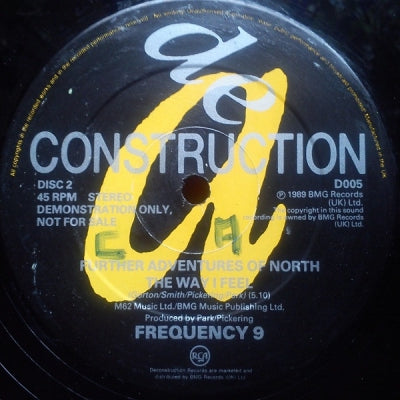FREQUENCY 9 / DYNASTY OF TWO - The Way I Feel / Stop This Thing