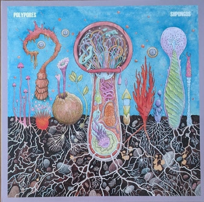 POLYPORES - Shpongos